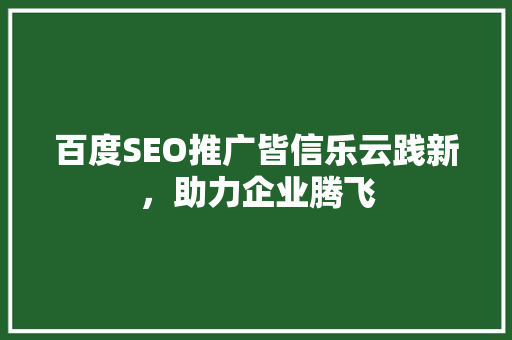 百度SEO推广皆信乐云践新，助力企业腾飞