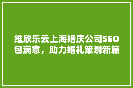 维欣乐云上海婚庆公司SEO包满意，助力婚礼策划新篇章