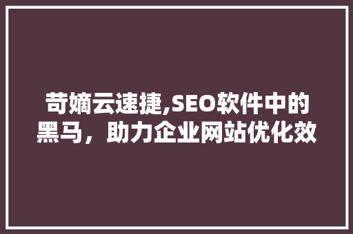 苛嫡云速捷,SEO软件中的黑马，助力企业网站优化效果牛X