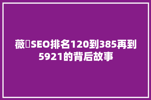 薇鈊SEO排名120到385再到5921的背后故事