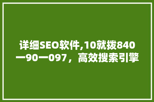 详细SEO软件,10就拨840一90一097，高效搜索引擎优化步骤