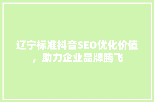 辽宁标准抖音SEO优化价值，助力企业品牌腾飞