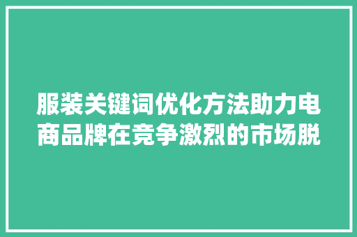 服装关键词优化方法助力电商品牌在竞争激烈的市场脱颖而出_服装关键词优化方法