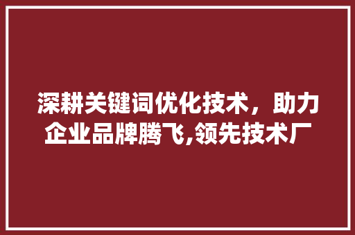 深耕关键词优化技术，助力企业品牌腾飞,领先技术厂家之路_关键词优化技术厂家