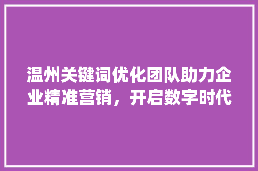 温州关键词优化团队助力企业精准营销，开启数字时代新篇章_温州关键词优化团队