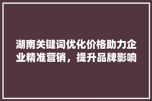 湖南关键词优化价格助力企业精准营销，提升品牌影响力_湖南关键词优化价格
