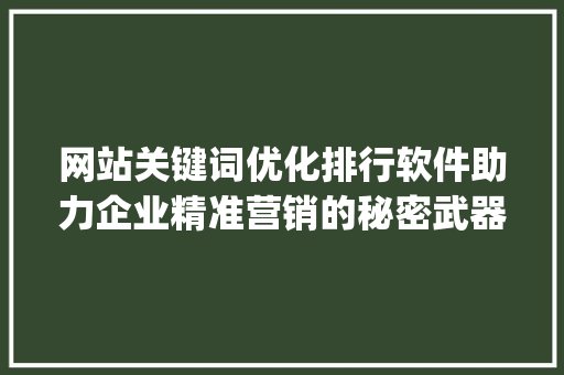 网站关键词优化排行软件助力企业精准营销的秘密武器_网站关键词优化排行软件