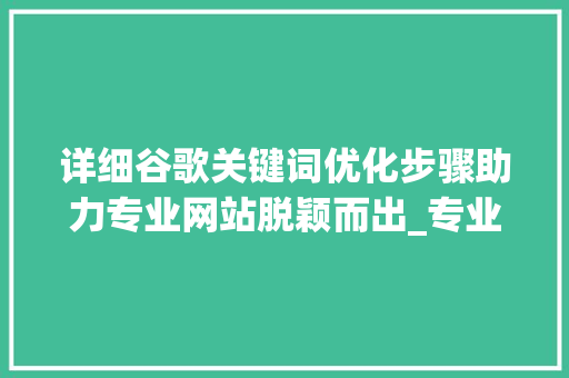 详细谷歌关键词优化步骤助力专业网站脱颖而出_专业做谷歌关键词优化  第1张
