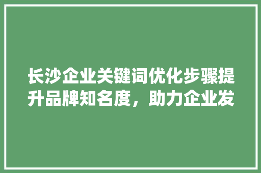 长沙企业关键词优化步骤提升品牌知名度，助力企业发展_长沙企业关键词优化