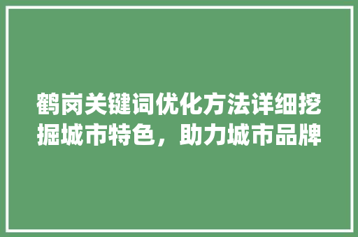 鹤岗关键词优化方法详细挖掘城市特色，助力城市品牌建设_鹤岗关键词优化方法