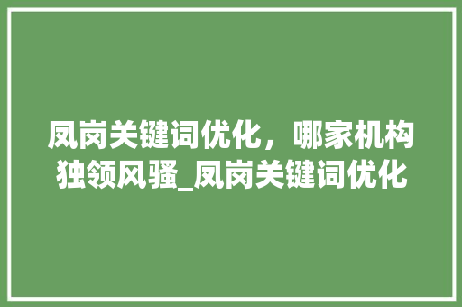 凤岗关键词优化，哪家机构独领风骚_凤岗关键词优化哪家好
