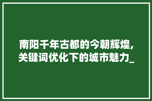 南阳千年古都的今朝辉煌,关键词优化下的城市魅力_南阳关键词优化靠谱