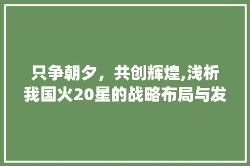 只争朝夕，共创辉煌,浅析我国火20星的战略布局与发展前景_关键词优化只有火20星