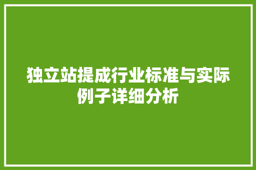 独立站提成行业标准与实际例子详细分析