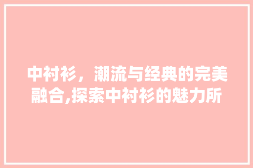 中衬衫，潮流与经典的完美融合,探索中衬衫的魅力所在_中衬衫搜索关键词优化