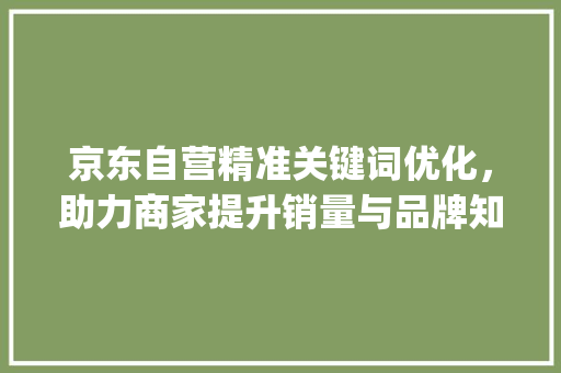 京东自营精准关键词优化，助力商家提升销量与品牌知名度_京东自营关键词优化