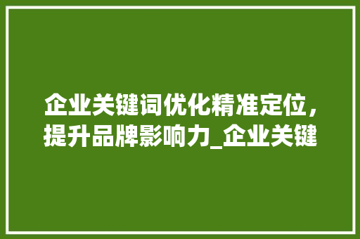 企业关键词优化精准定位，提升品牌影响力_企业关键词优化求推荐