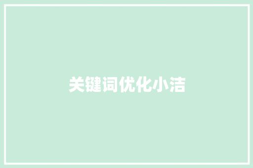 关键词优化小洁