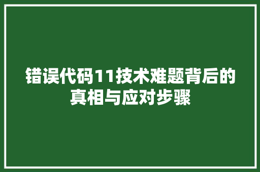 错误代码11技术难题背后的真相与应对步骤