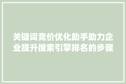 关键词竞价优化助手助力企业提升搜索引擎排名的步骤_关键词竞价优化助手排名