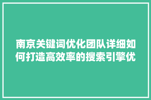 南京关键词优化团队详细如何打造高效率的搜索引擎优化步骤_南京关键词优化团队推荐