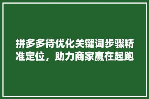 拼多多待优化关键词步骤精准定位，助力商家赢在起跑线_拼多多待优化关键词