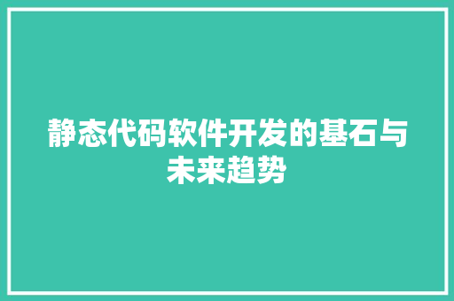 静态代码软件开发的基石与未来趋势