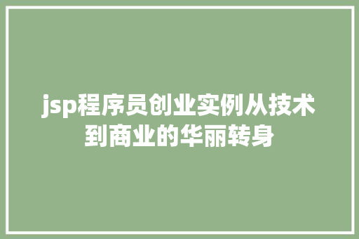 jsp程序员创业实例从技术到商业的华丽转身