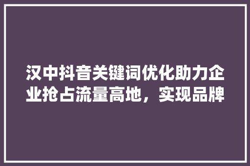 汉中抖音关键词优化助力企业抢占流量高地，实现品牌腾飞_汉中抖音关键词优化厂家