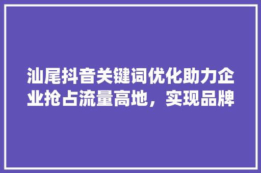 汕尾抖音关键词优化助力企业抢占流量高地，实现品牌飞跃_汕尾抖音关键词优化公司