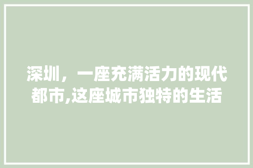 深圳，一座充满活力的现代都市,这座城市独特的生活与联系方式_深圳关键词优化联系方式