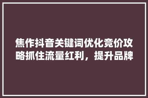 焦作抖音关键词优化竞价攻略抓住流量红利，提升品牌影响力_焦作抖音关键词优化竞价