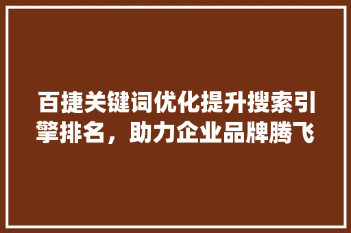 百捷关键词优化提升搜索引擎排名，助力企业品牌腾飞_百捷关键词优化哪里有