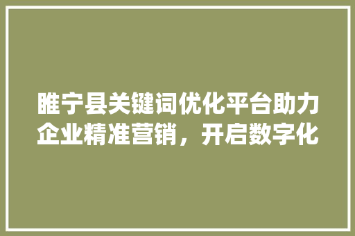 睢宁县关键词优化平台助力企业精准营销，开启数字化营销新篇章_睢宁县关键词优化平台