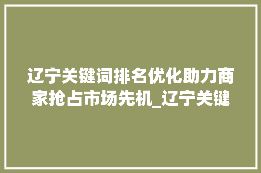 辽宁关键词排名优化助力商家抢占市场先机_辽宁关键词排名优化商家