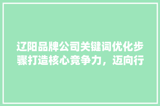 辽阳品牌公司关键词优化步骤打造核心竞争力，迈向行业巅峰_辽阳关键词优化品牌公司