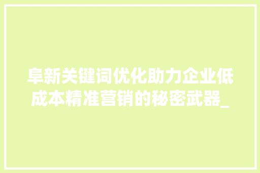 阜新关键词优化助力企业低成本精准营销的秘密武器_阜新关键词优化多少钱