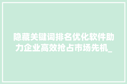 隐藏关键词排名优化软件助力企业高效抢占市场先机_隐藏关键词排名优化软件