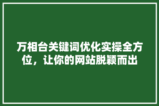 万相台关键词优化实操全方位，让你的网站脱颖而出