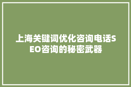 上海关键词优化咨询电话SEO咨询的秘密武器