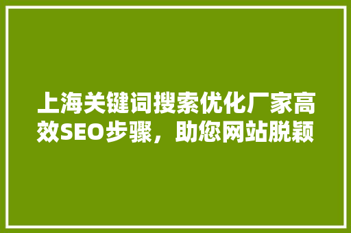 上海关键词搜索优化厂家高效SEO步骤，助您网站脱颖而出