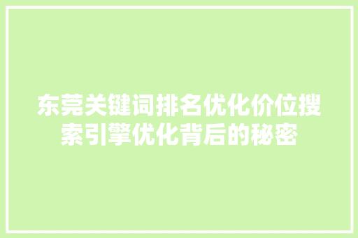 东莞关键词排名优化价位搜索引擎优化背后的秘密