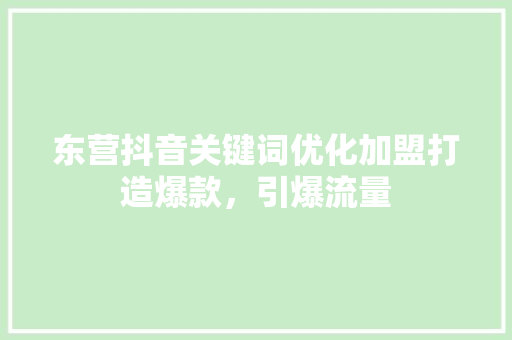 东营抖音关键词优化加盟打造爆款，引爆流量