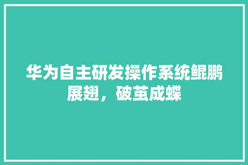 华为自主研发操作系统鲲鹏展翅，破茧成蝶
