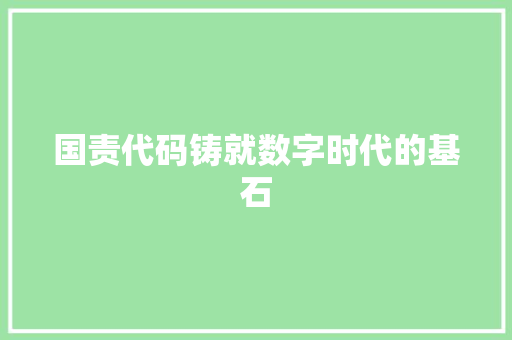 国责代码铸就数字时代的基石