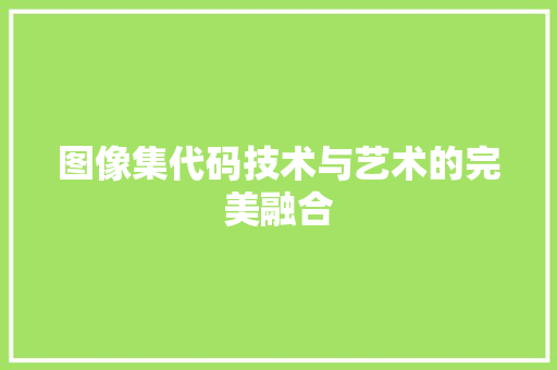 图像集代码技术与艺术的完美融合