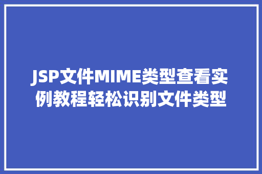 JSP文件MIME类型查看实例教程轻松识别文件类型