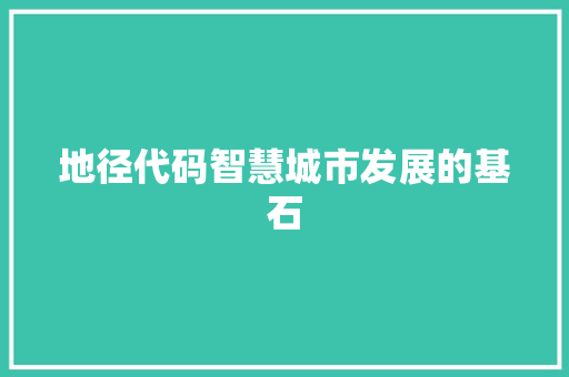 地径代码智慧城市发展的基石