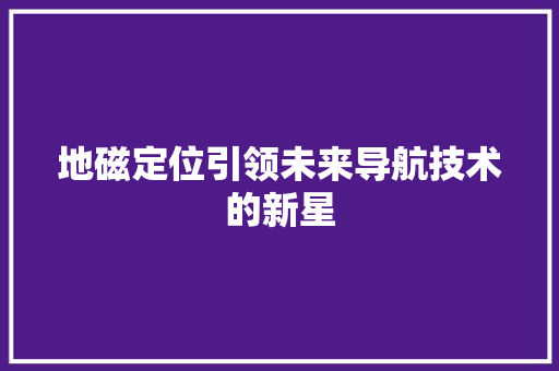 地磁定位引领未来导航技术的新星