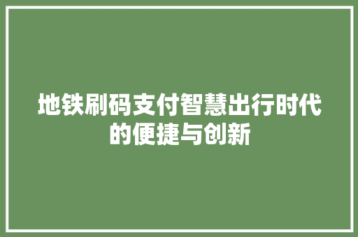 地铁刷码支付智慧出行时代的便捷与创新